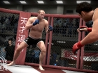 EA Sports MMA