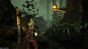 The Witcher 2 Assassins of Kings (PC)