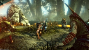 The Witcher 2 Assassins of Kings (PC)