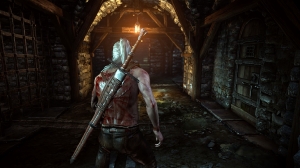 the-witcher-2-assassins-of-kings-screenshot_2