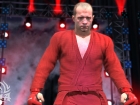 EA Sports MMA