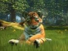 Kinectimals (Xbox 360)