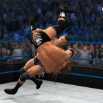 WrestleMania 25: Triple H (c) vs. Randy Orton