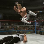 WrestleMania 11: Diesel vs. HBK