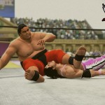 WrestleMania 9: Bret Hart (c) vs. Yokozuna (with Mr. Fuji) Hulk Hogan vs.Yokozuna (c) immediately after this match